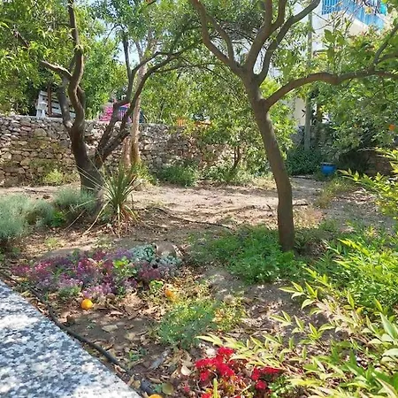 Mel's Garden House In The Heart Of The