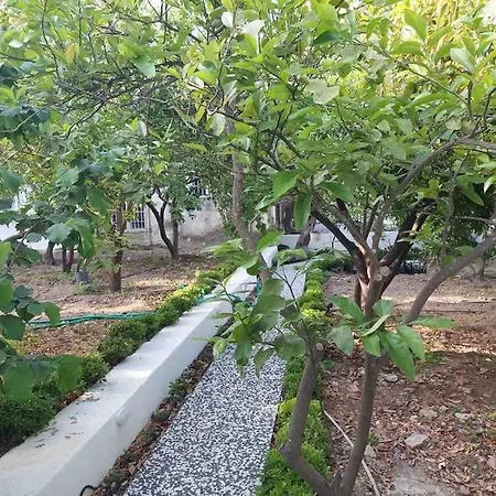 Mel's Garden House In The Heart Of The * Bodrum