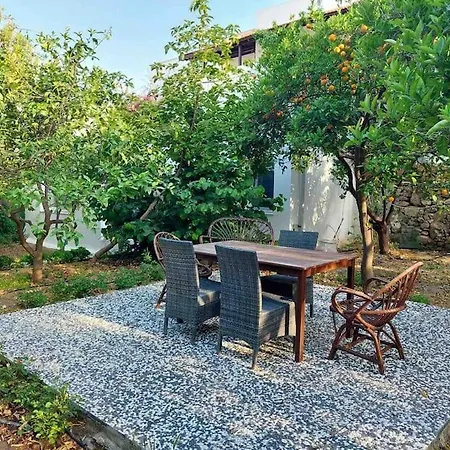 Mel's Garden House In The Heart Of The Vakantiehuis *